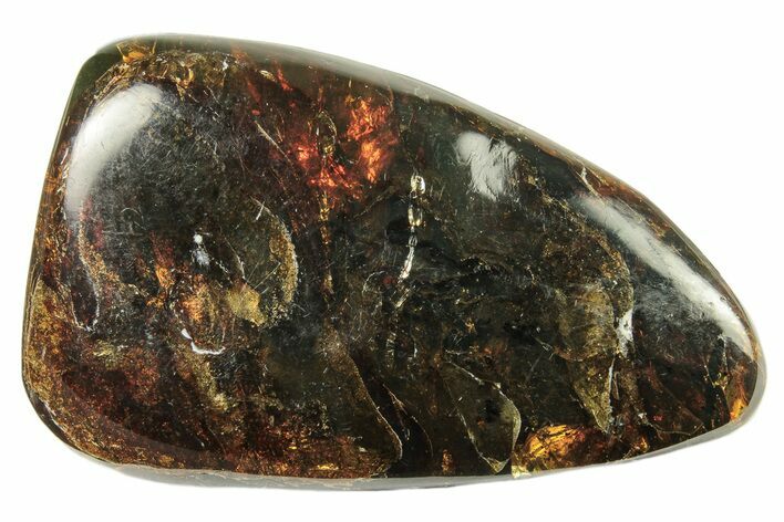 Polished Chiapas Amber ( g) - Mexico #274428
